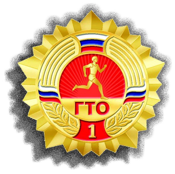 Готов к труду и обороне