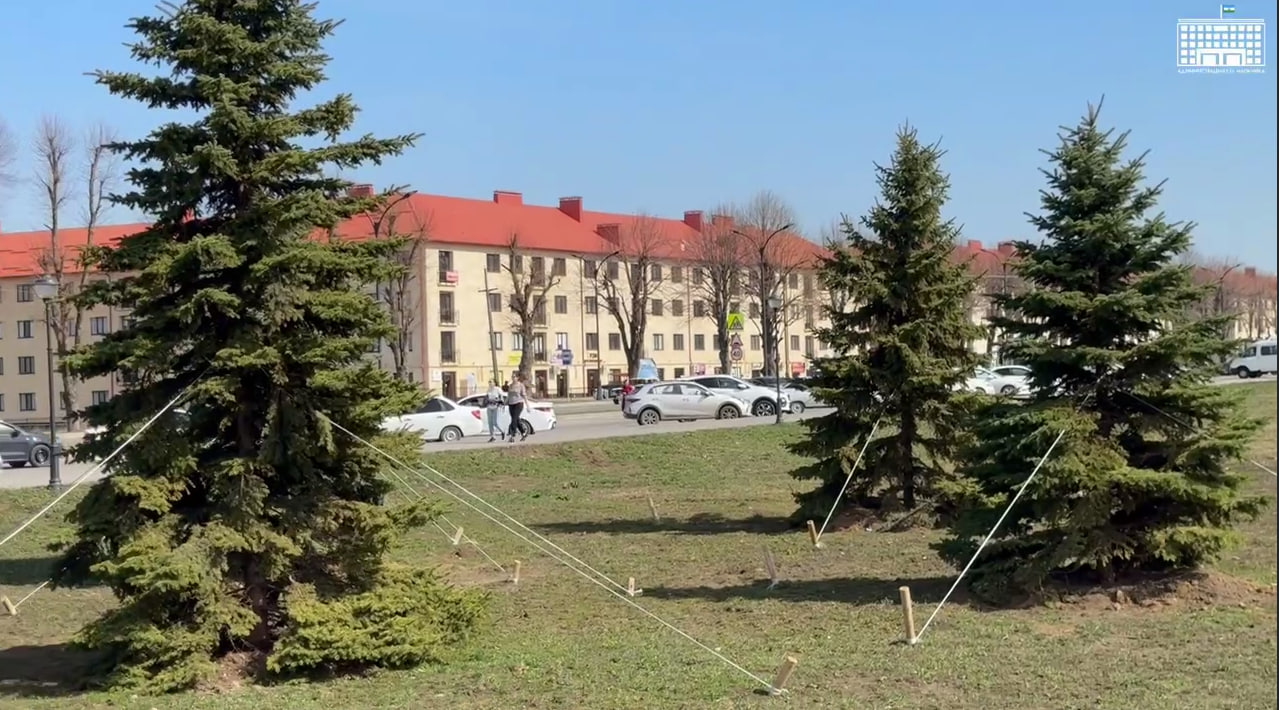 В Нальчике продолжается активная работа по озеленению общественных пространств.